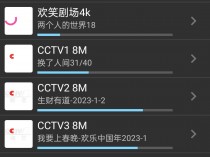 IPTV播放器(电视频道播放器)_v6.2.5.0 专业版